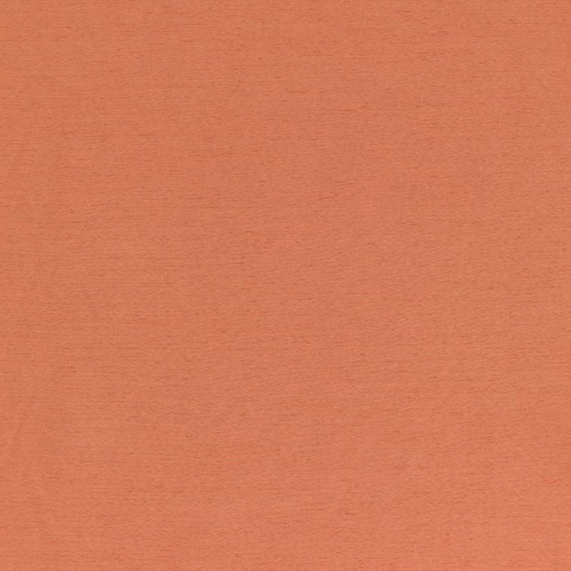 Shanghai Terracotta