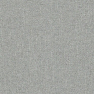 Carnaby Silver