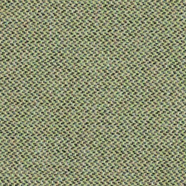 Uffizi Plain Olive