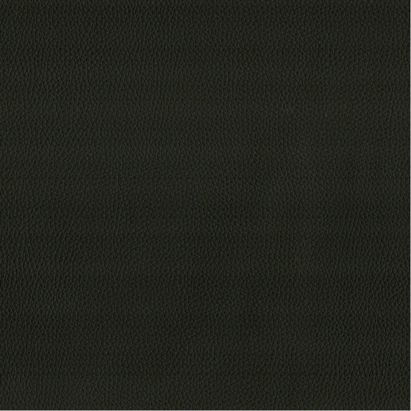 Maximo Black