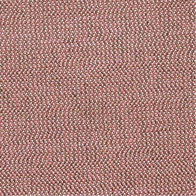 Baltic Coral