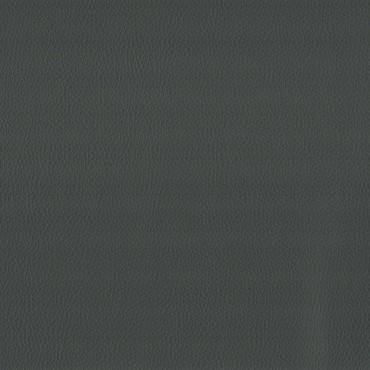 Maximo Grey