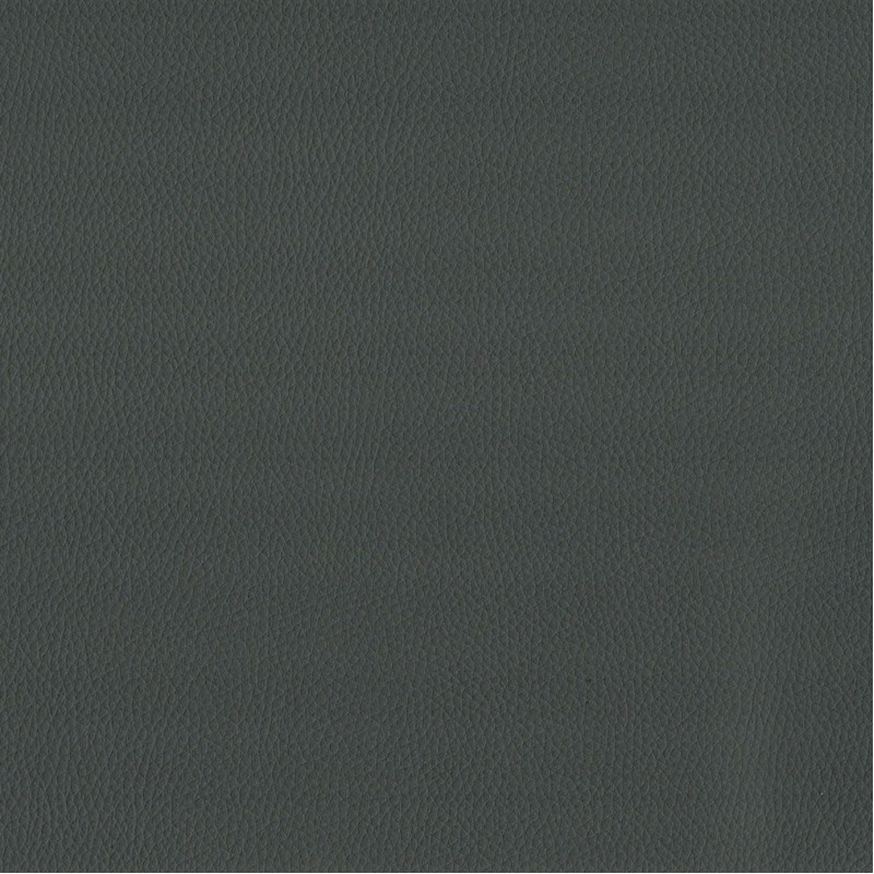 Maximo Grey