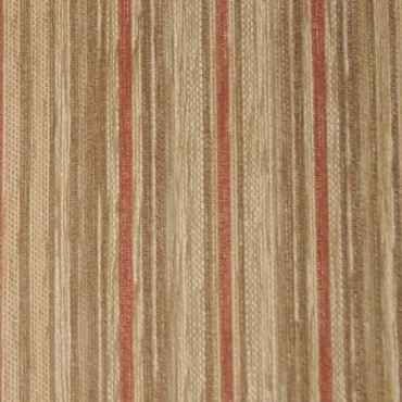 Maida Vale Candy Stripe Rose