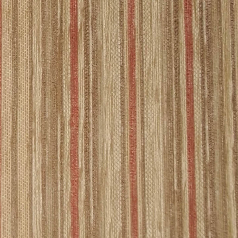 Maida Vale Candy Stripe Rose