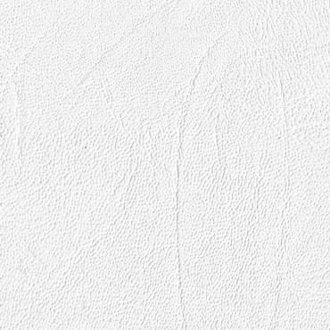 Maritime Grey Light