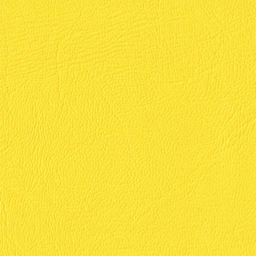Maritime Yellow