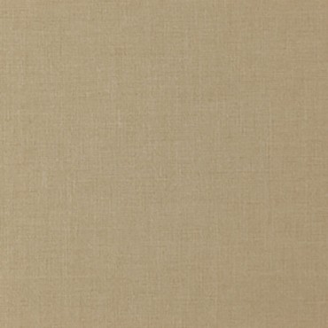 Comfy Parchment