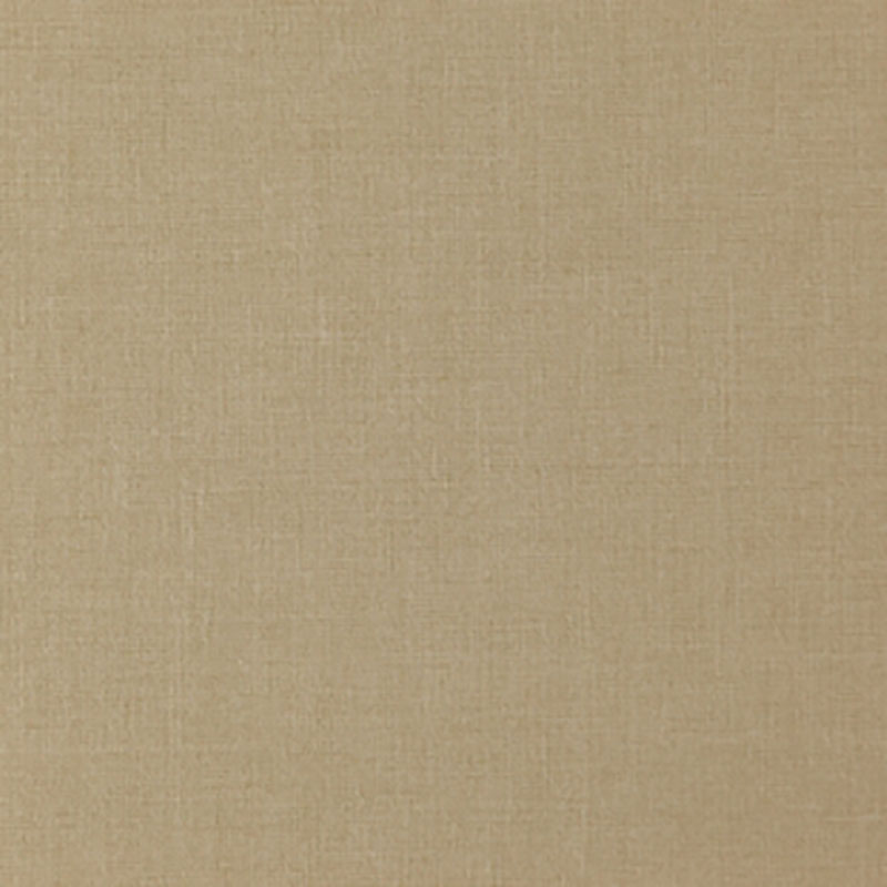 Comfy Parchment