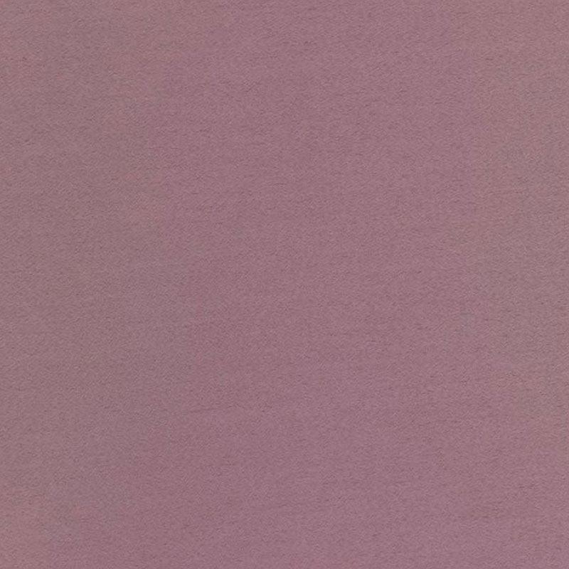 Shanghai Mauve