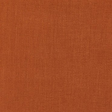 Comfy Tangerine