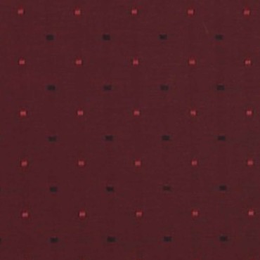 Vision Burgundy